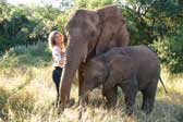 Elephant Interaction Activity- Gauteng from R425 per person | Gauteng